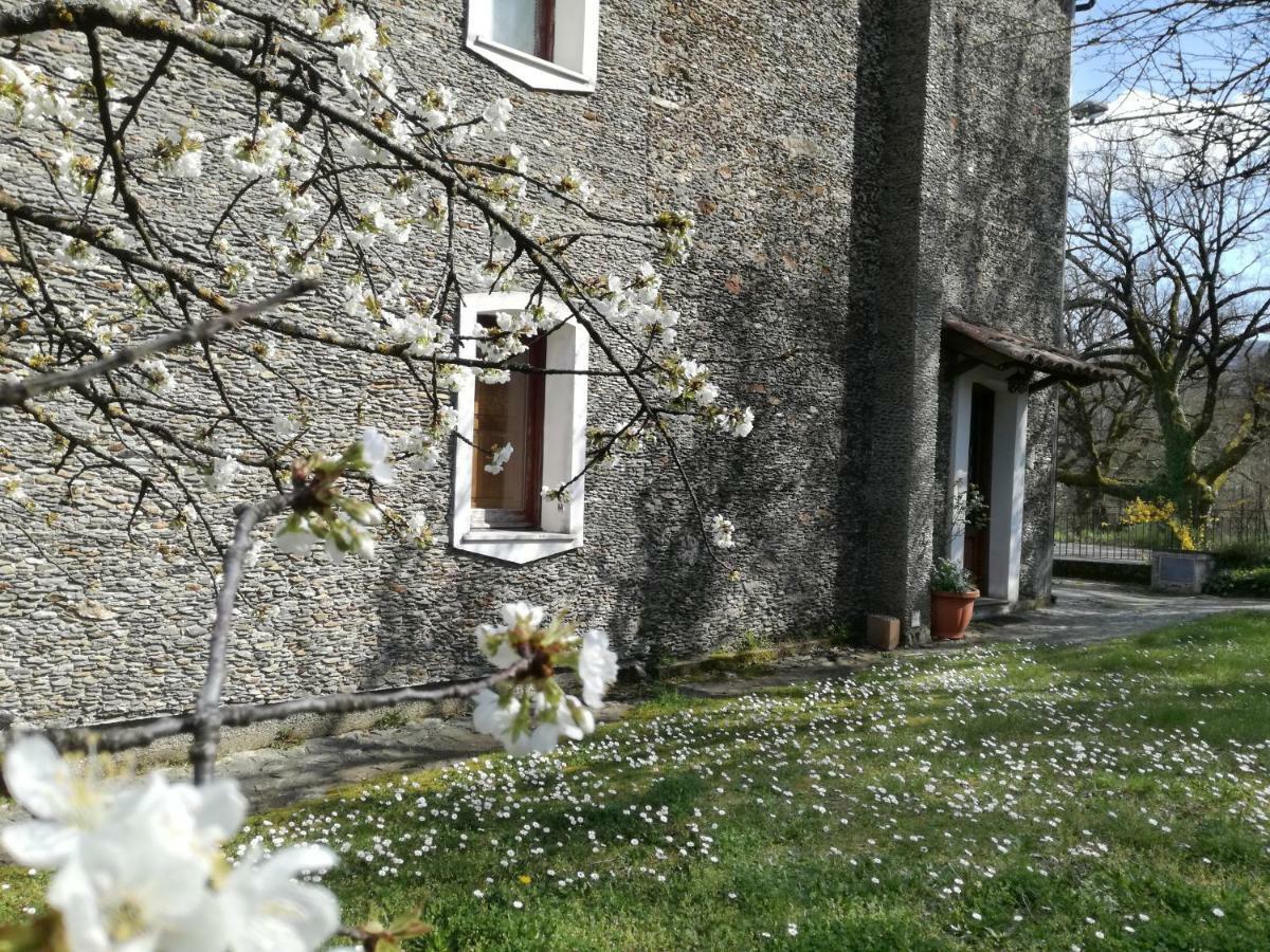 Casa Nel Verde Decollatura Exteriér fotografie