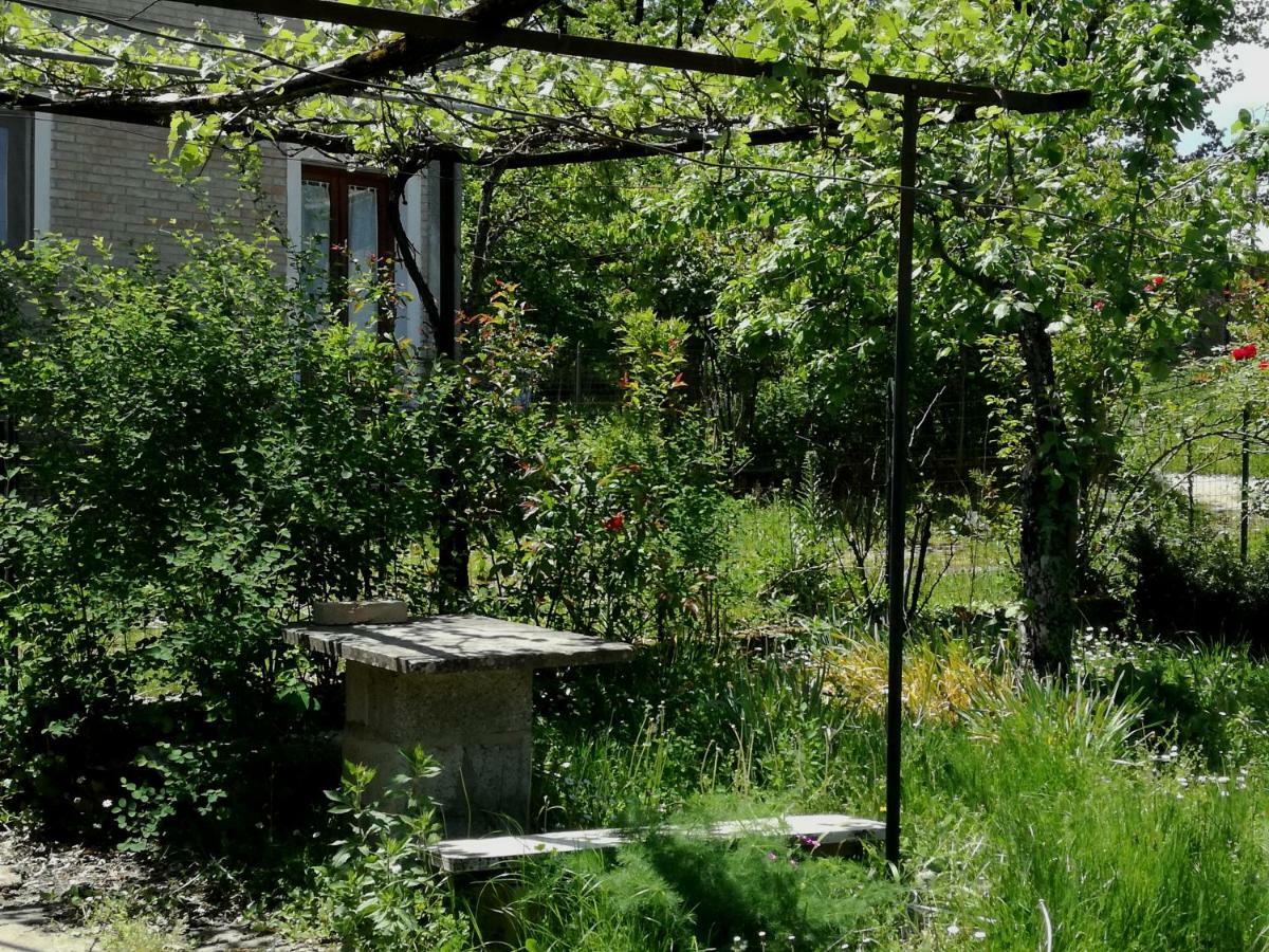 Casa Nel Verde Decollatura Exteriér fotografie