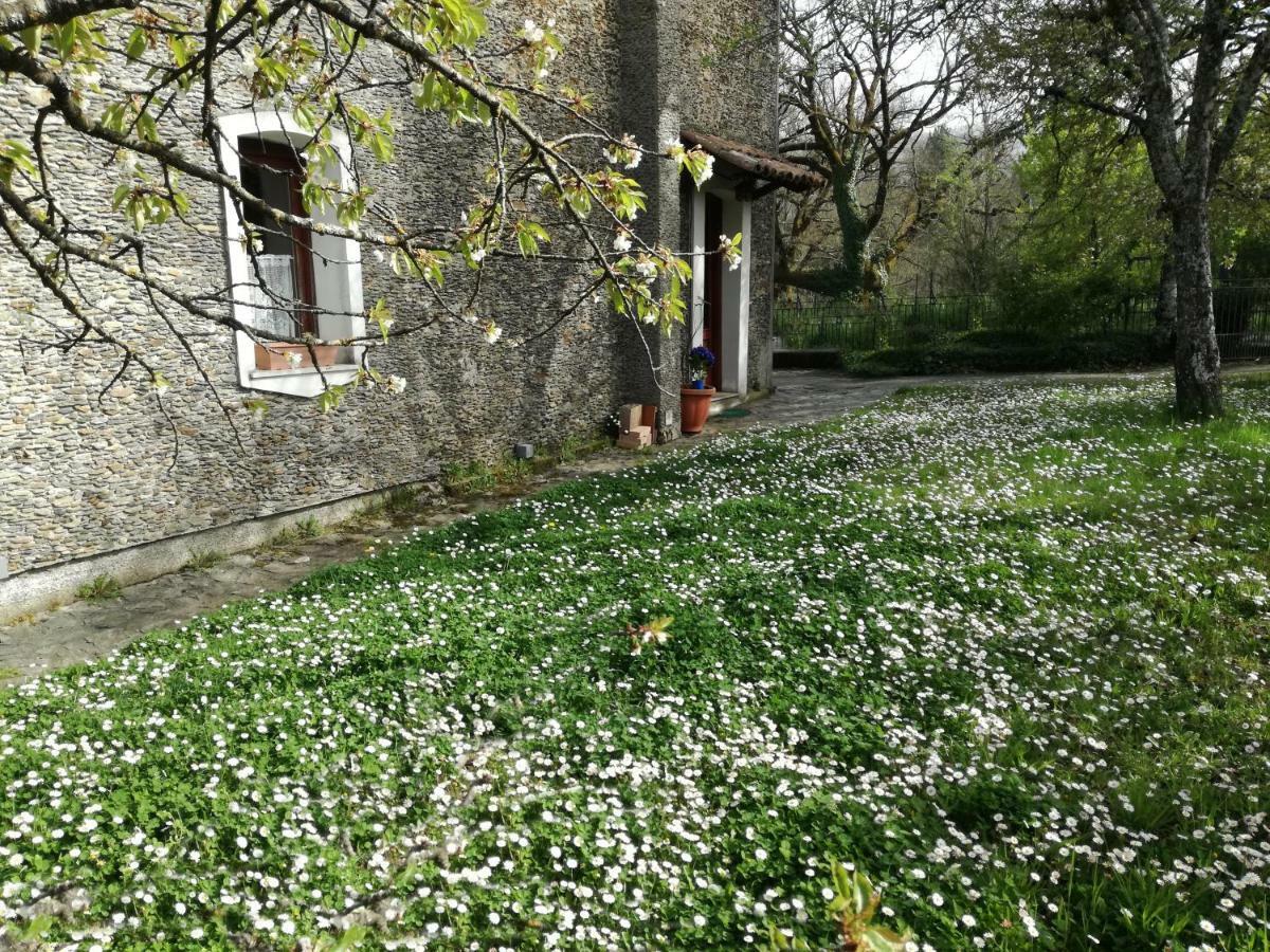 Casa Nel Verde Decollatura Exteriér fotografie