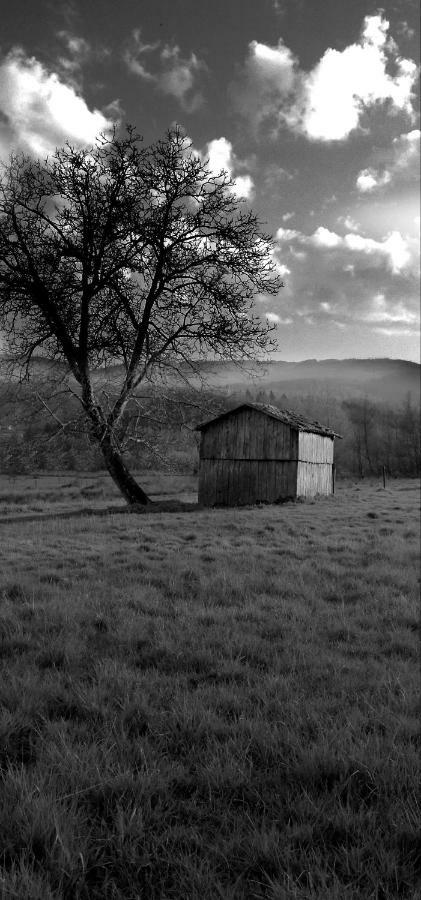 Casa Nel Verde Decollatura Exteriér fotografie